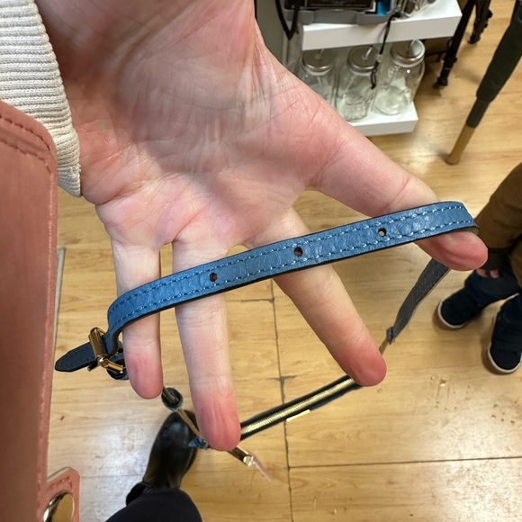 Authentic RARE Burberry Signature Grain Calfskin Peyton Crossbody Celadon Blue - Picture 13 of 13